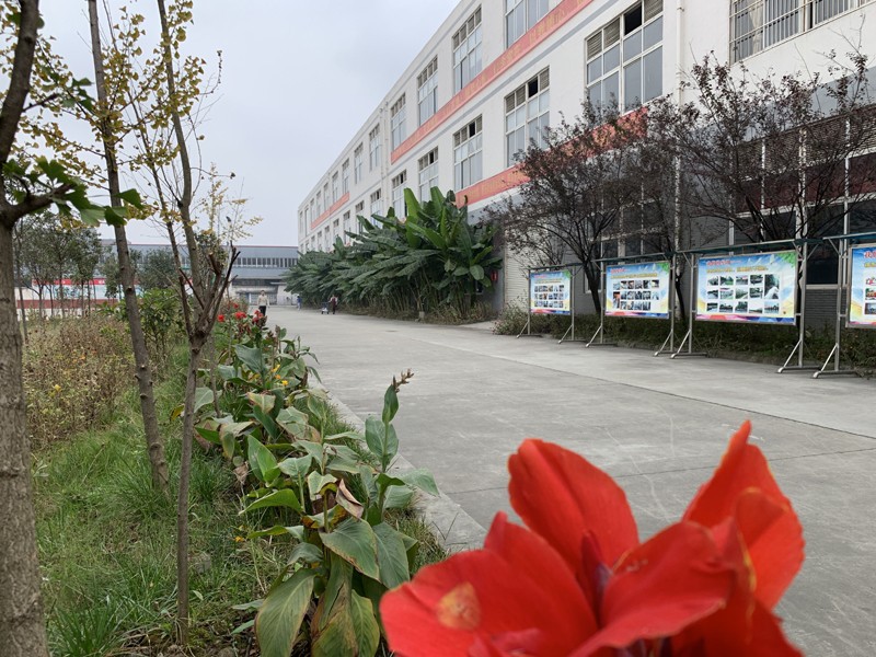 成都青华职业学校介绍,成都青华职业学校地址及招生专业