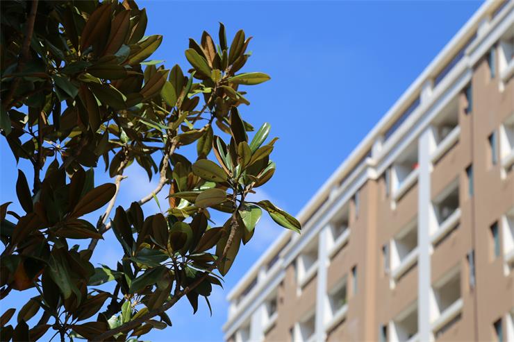  云南耀兴卓越技工学校介绍, 云南耀兴卓越技工学校地址