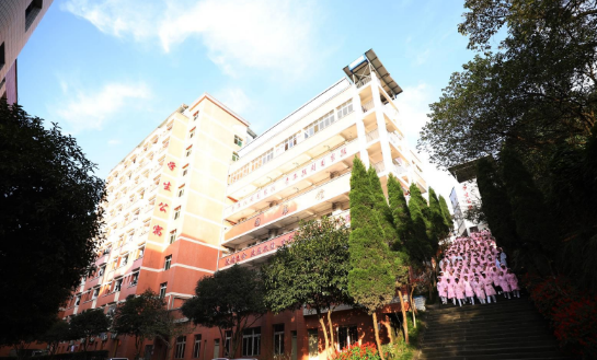 重庆市南丁卫生职业学校 重庆市南丁卫生职业学校