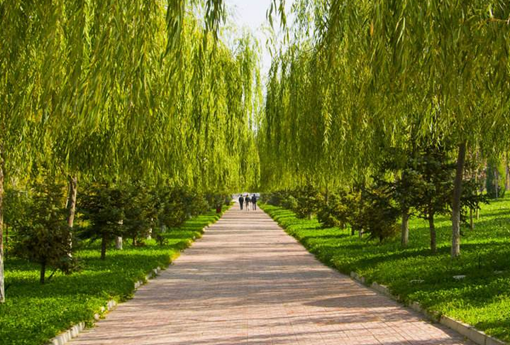 益阳市卫生职业技术学校