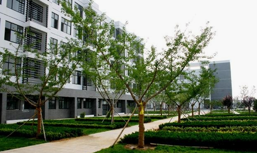 日照市卫生学校环境照片、环境怎么样 日照市卫生学校环境照片、环境怎么样