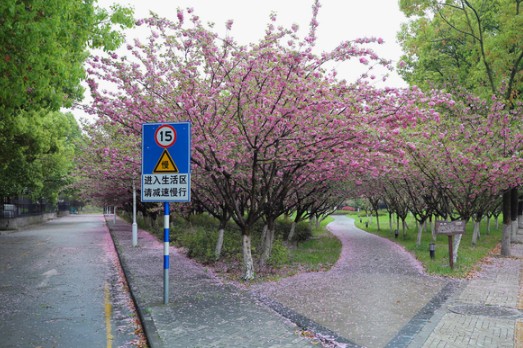 南京中医药大学环境图 南京中医药大学环境图