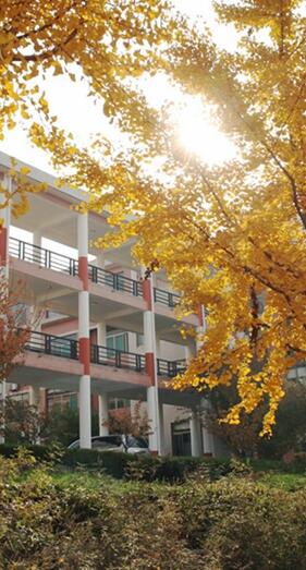 山东医药技师学院2020年招生简章 山东医药技师学院2020年招生简章
