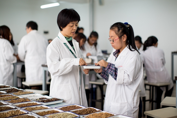 天津市药科中等专业学校中药专业 天津市药科中等专业学校中药专业
