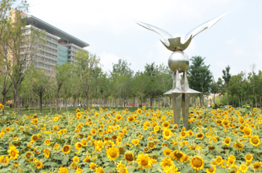 2020年江西卫校可以学什么 2020年江西卫校可以学什么