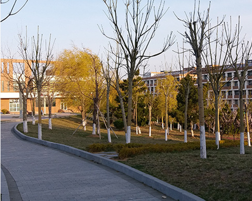 江西哪个大专学校的卫校好 江西哪个大专学校的卫校好