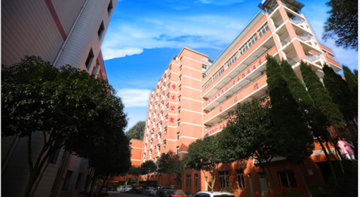 沙坪坝南丁卫校 沙坪坝南丁卫校